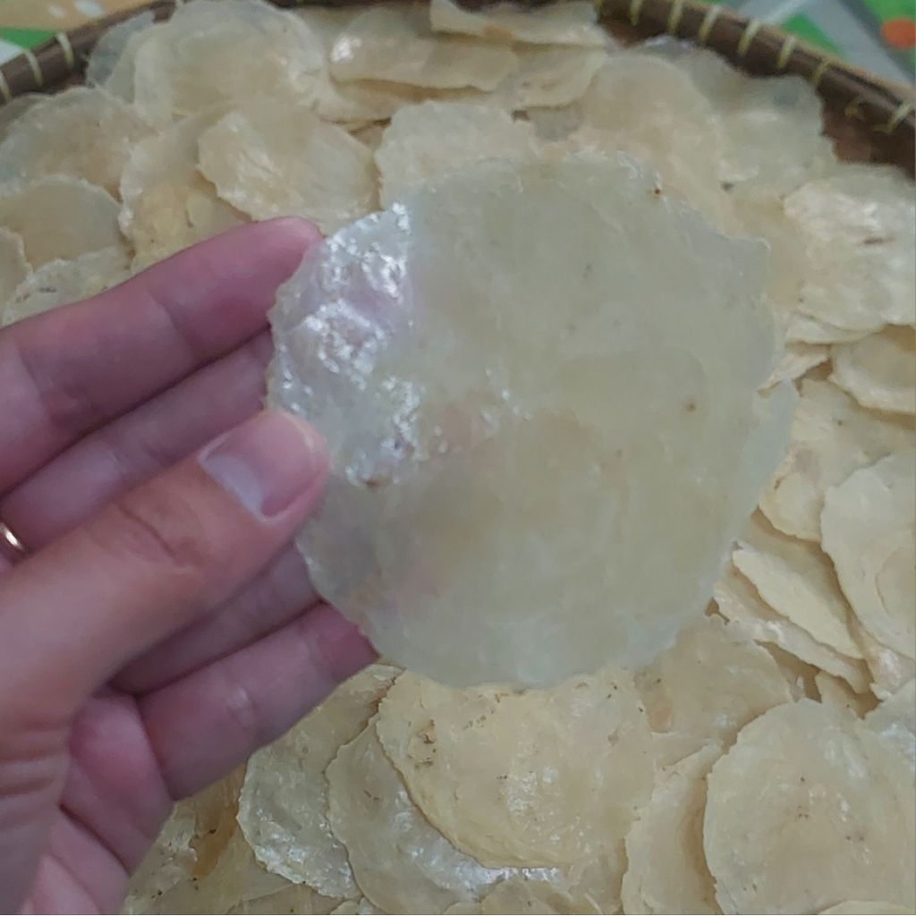 

Emping Melinjo Mentah Super 500GR / Emping Melinjo 4-5biji / Emping Mentah Tipis Kualitas Super