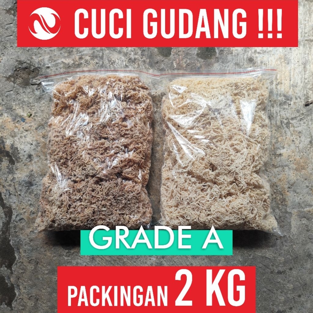 

CUCI GUDANG!! RUMPUT LAUT KERING COTTONI/SPINOSUM GRADE A - PACKING 2KG