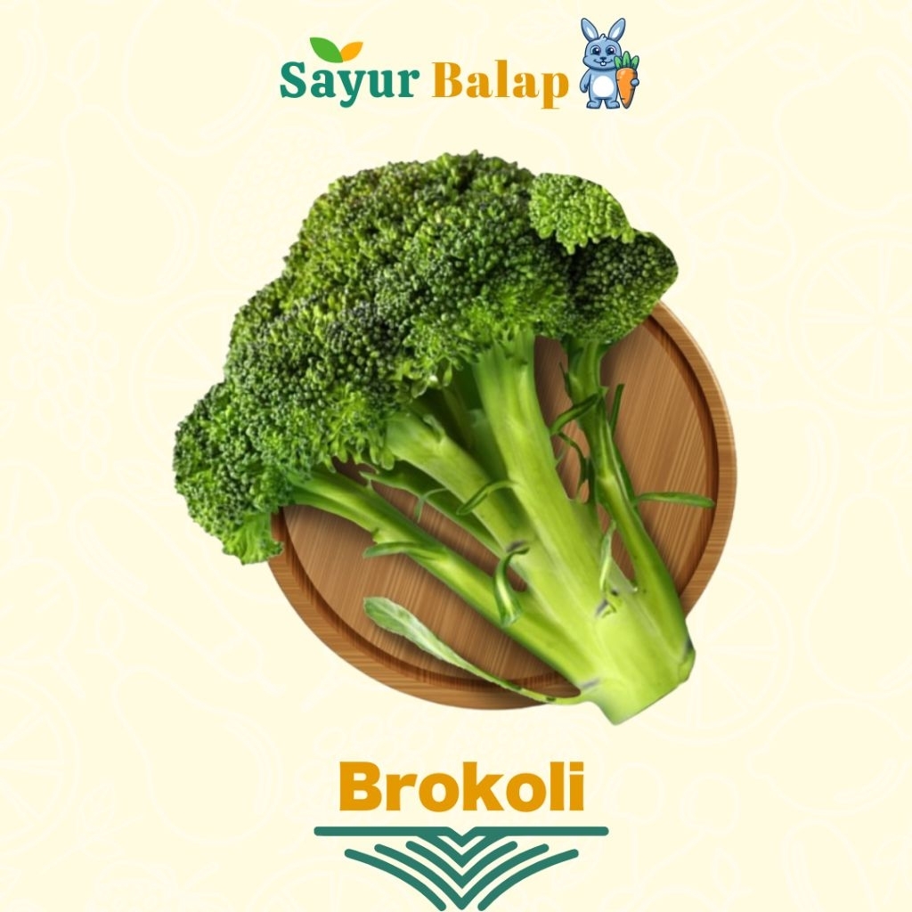 Brokoli - Segar - Sayur Balap Lampung