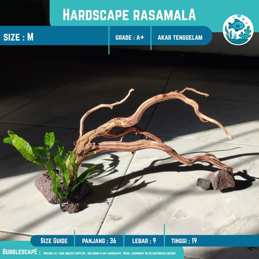 HARDSCAPE AKAR TENGGELAM SIZE M ( Medium)  RASAMALA |Ornamen Hiasan |Tanaman Aquatic |Akar Tenggelam