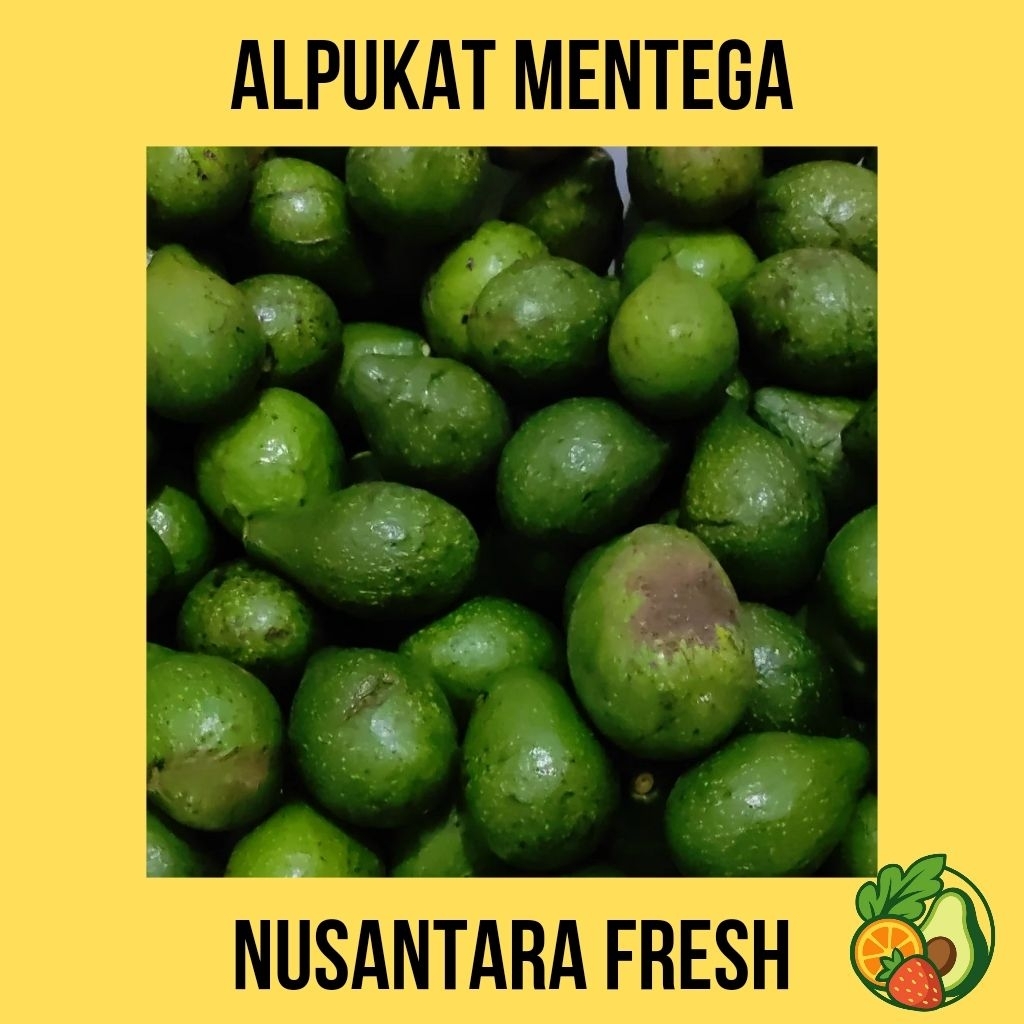 

ALPUKAT MINI MENTEGA LOKAL KOTA BATU. Isi 6 7 8 II GARANSI BUAH