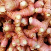 

Lengkuas Segar Medan Daily Market