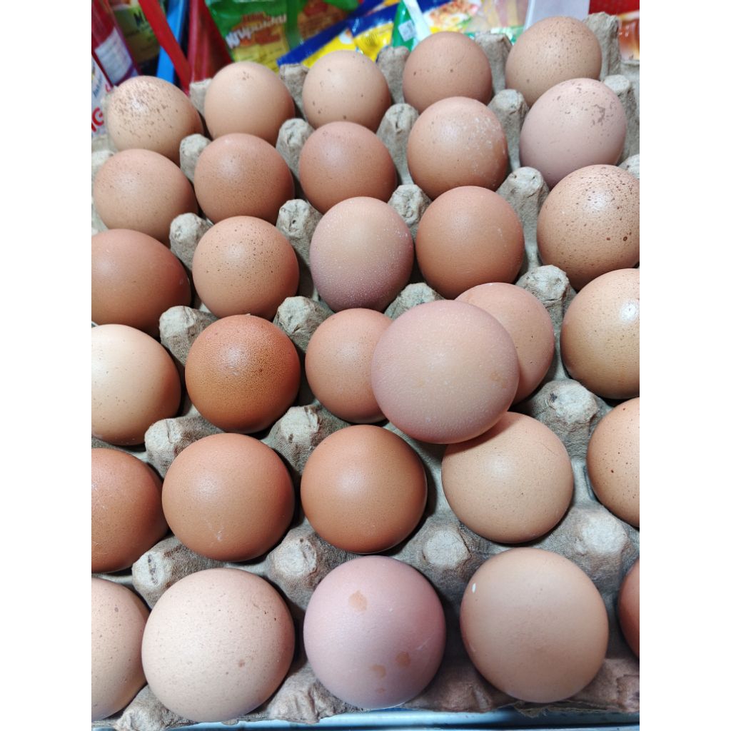 

telur ayam negeri 1 rak