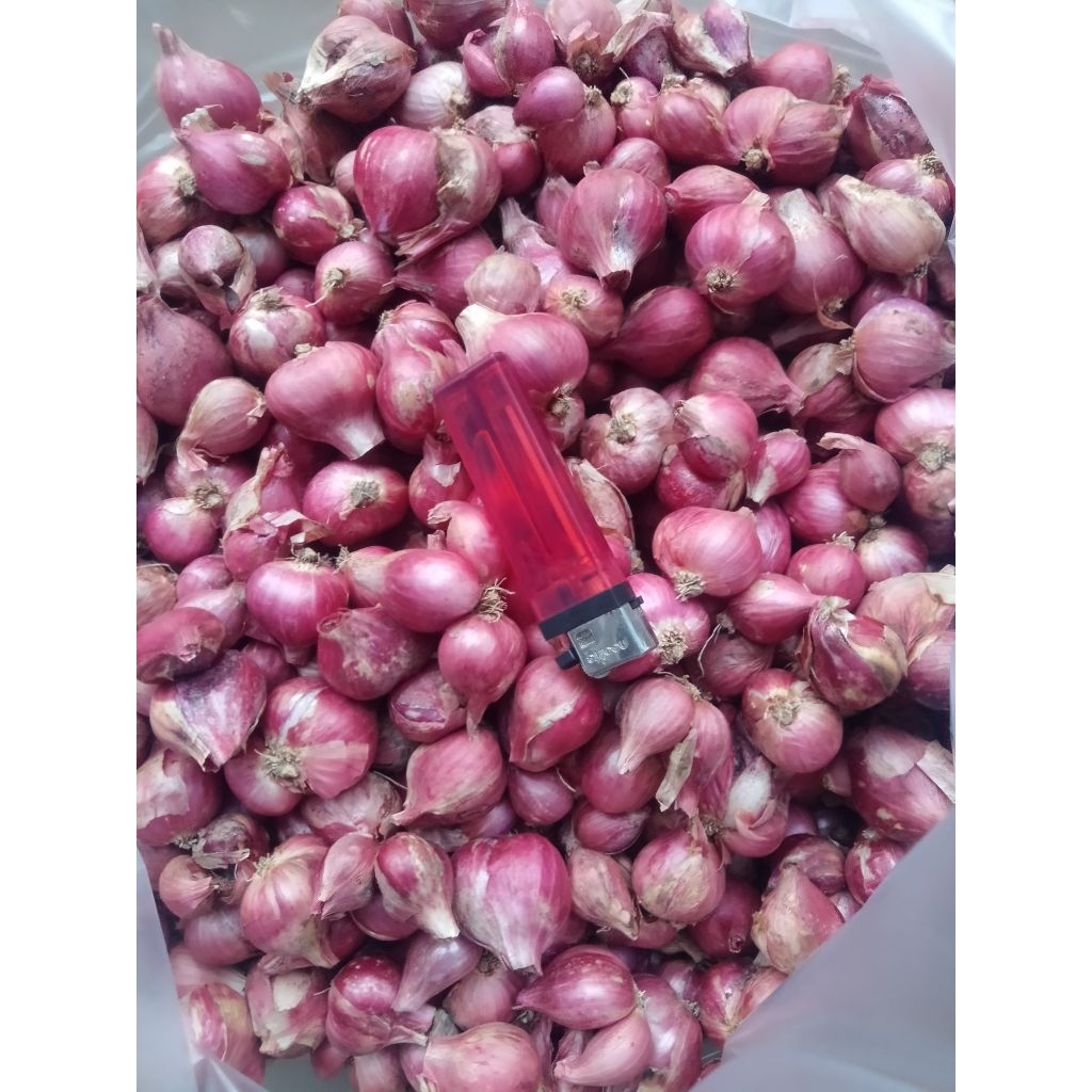 

bawang merah