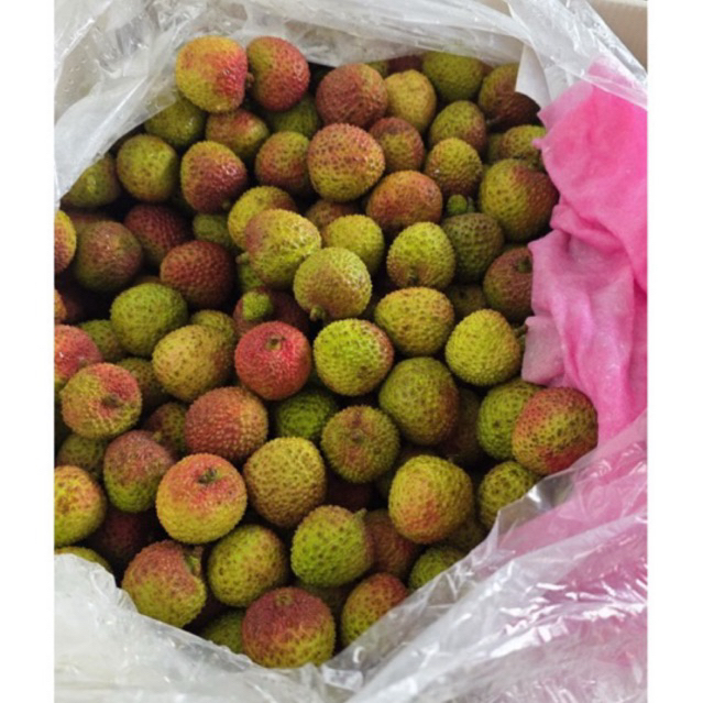 

Lechy Hijau Madu, Leci Manis, Leci Segar