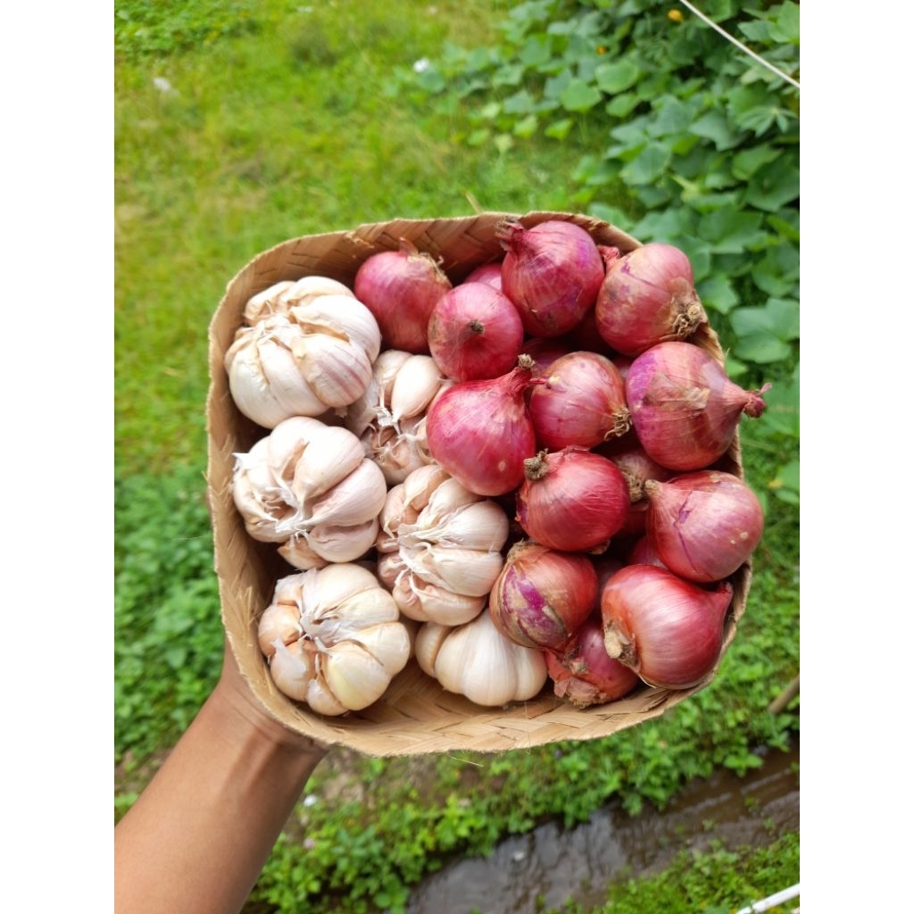

1000gr Paket Hemat Baput 500gr + Bamer 500gr