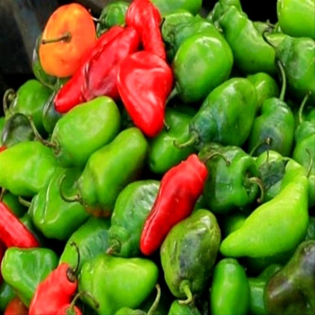 

cabe gendot 100gram