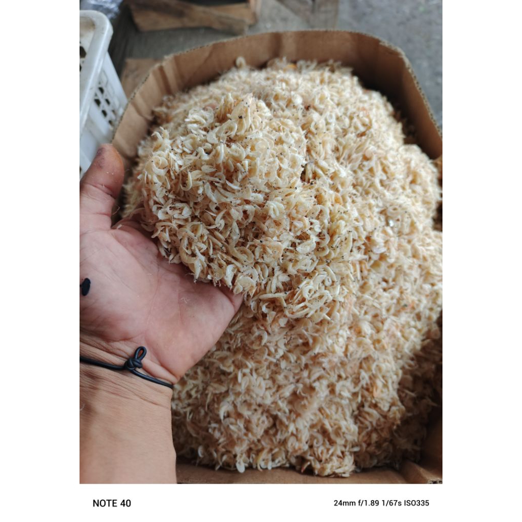 

ikan asin rebon murah/ikan asin udang kecil 250,gram