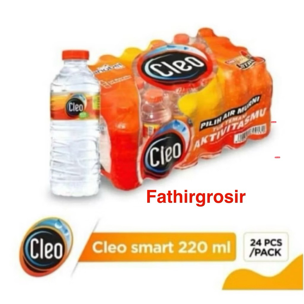 

CLEO AIR MINERAL MINI 220ML 1 PACK ISI 24 BOTOL AIR MURNI DALAM KEMASAN PARTY PACK KECIL