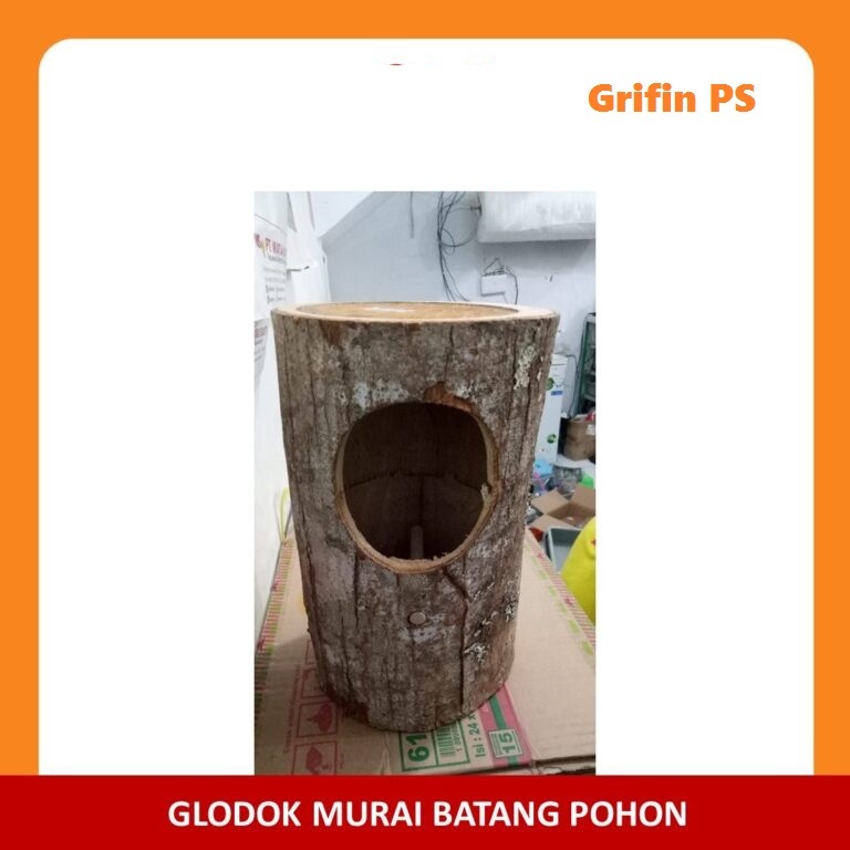 Glodok Pohon Batang Kayu Alam Gelodok Burung Murai Sarang Ternak Telur / Burung Murai