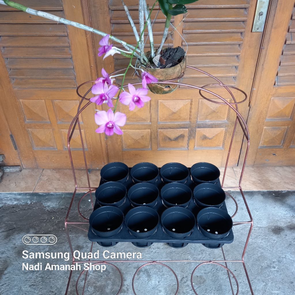 Paket Pot Tray Semai Anggrek 12 Pot
