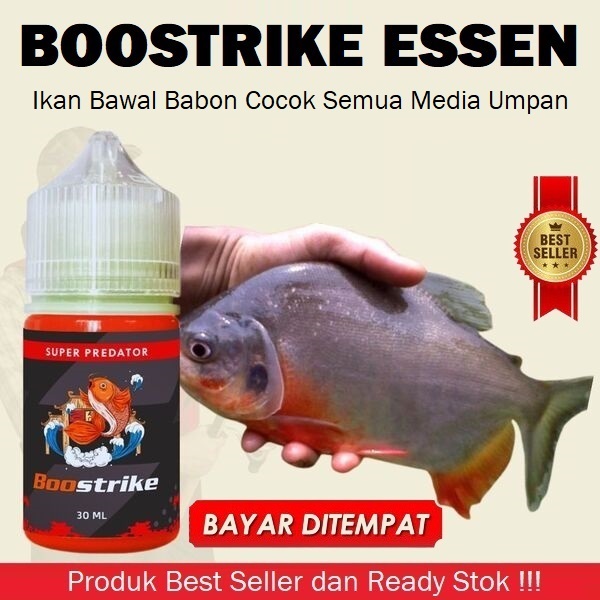 BOOSTRIKE ESSEN IKAN BAWAL BABON COCOK SEMUA MEDIA UMPAN ISI 30ML