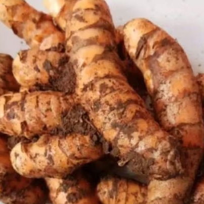 

Kunyit segar pres 500 gr, obat herbal alami , (Kunyit masak)