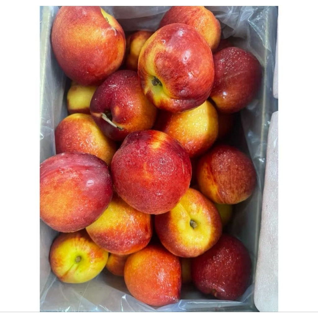 

Buah Nectarine Yellow Fresh Import 1 Kg
