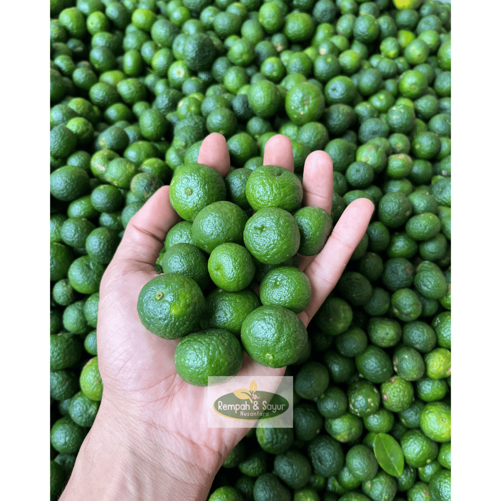 

Jeruk Limau Limo Fresh Langsung Dari Kebun - Jeruk Sambal 250 gram
