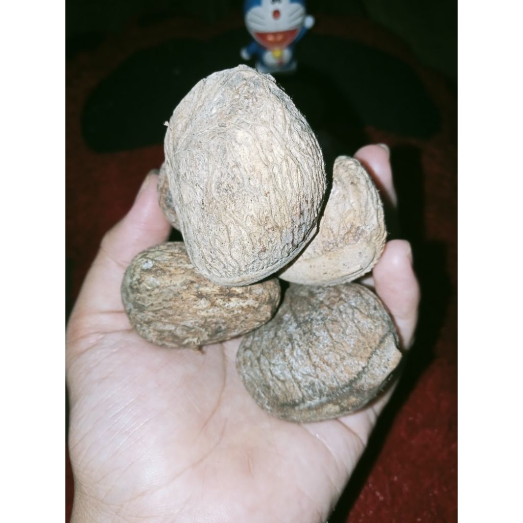 

klwek picung