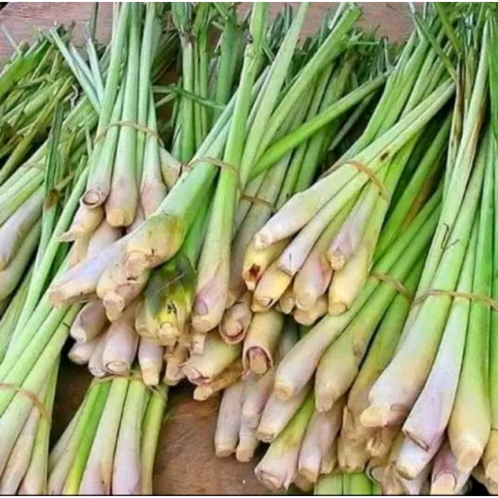 

Sereh Segar murah 1kg