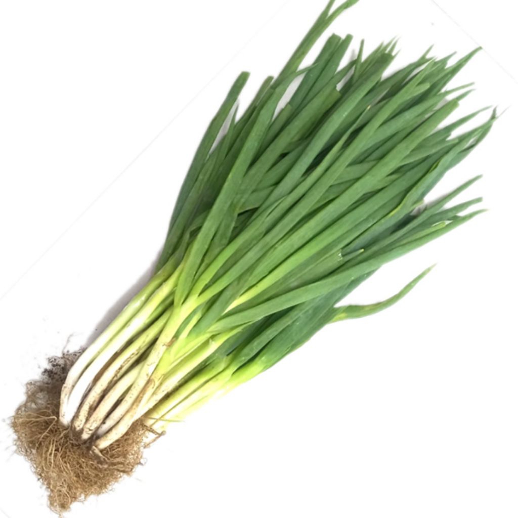 

daun bawang segar 250g