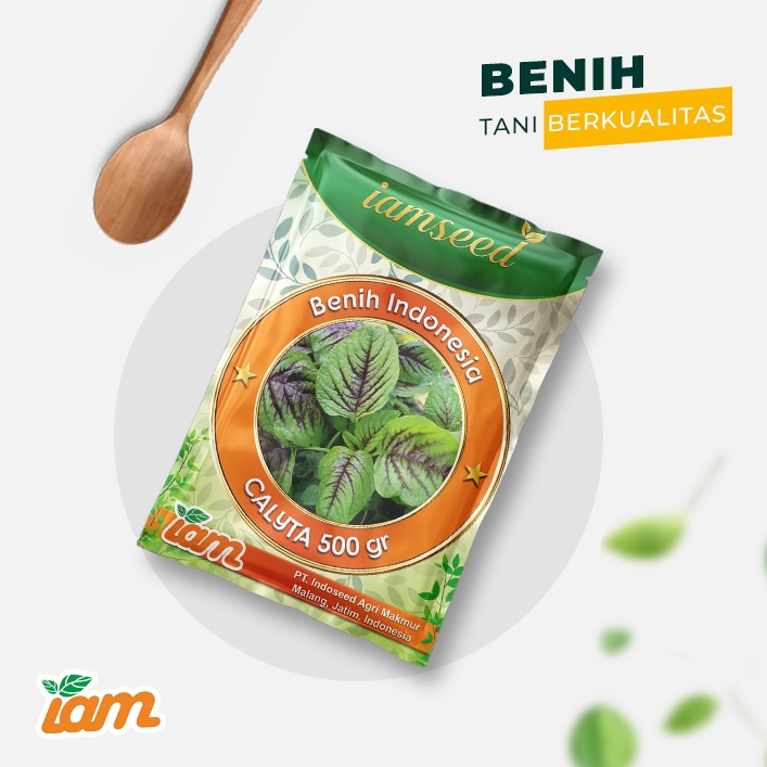 

Calyta 500gr | Bayam hijau tengah merah