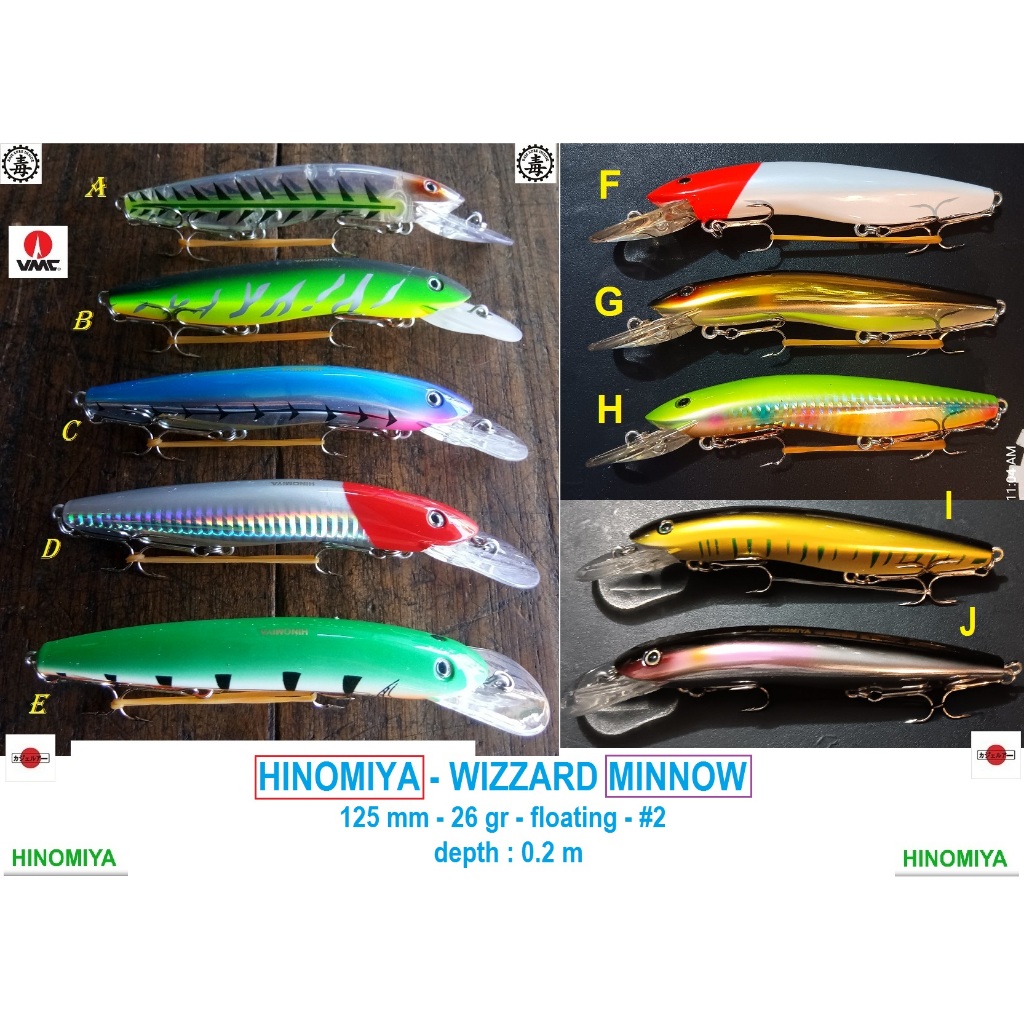 HINOMIYA - WIZZARD MINNOW