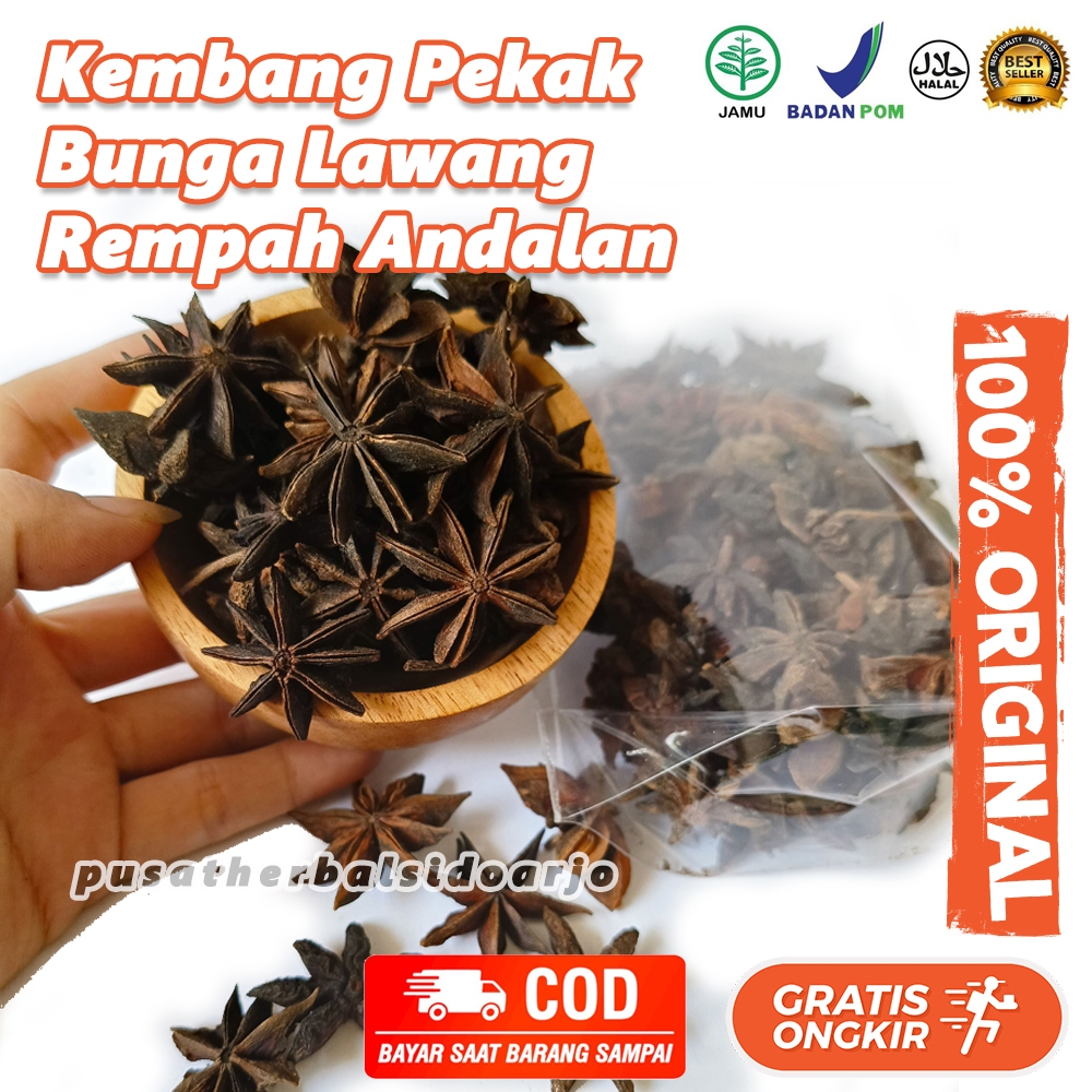 

Pekak Bunga Lawang Fresh Kering Rempah Illicium verum