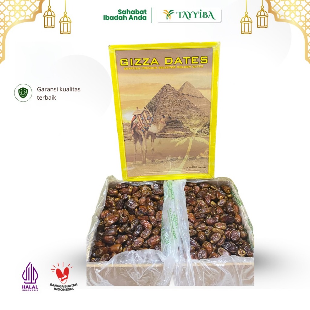 

Kurma Mesir GIZZA ready Giza 10kg 1 Dus Kurma Arab Murah