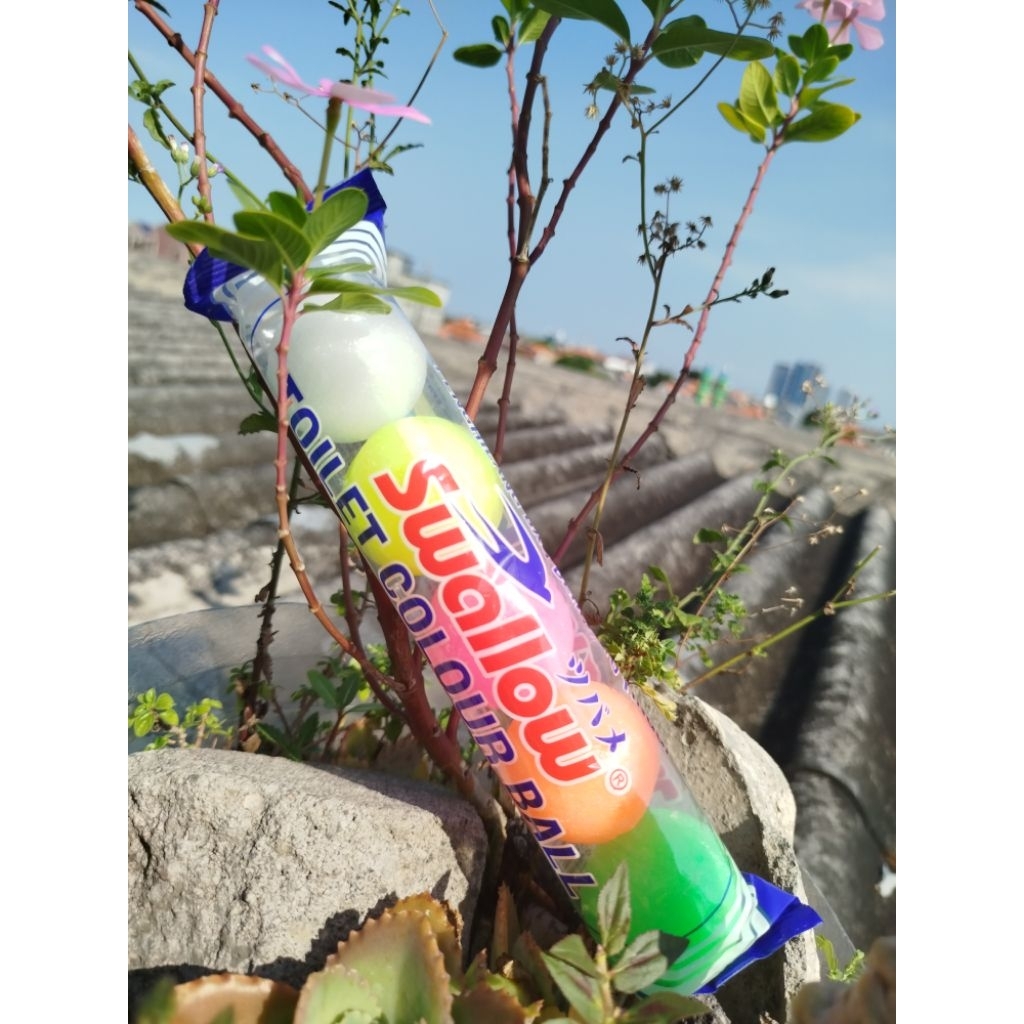 Kamper Swallow/Swallow isi 5/Swallow/Swallow ball/Kamper Swallow toilet/Swallow