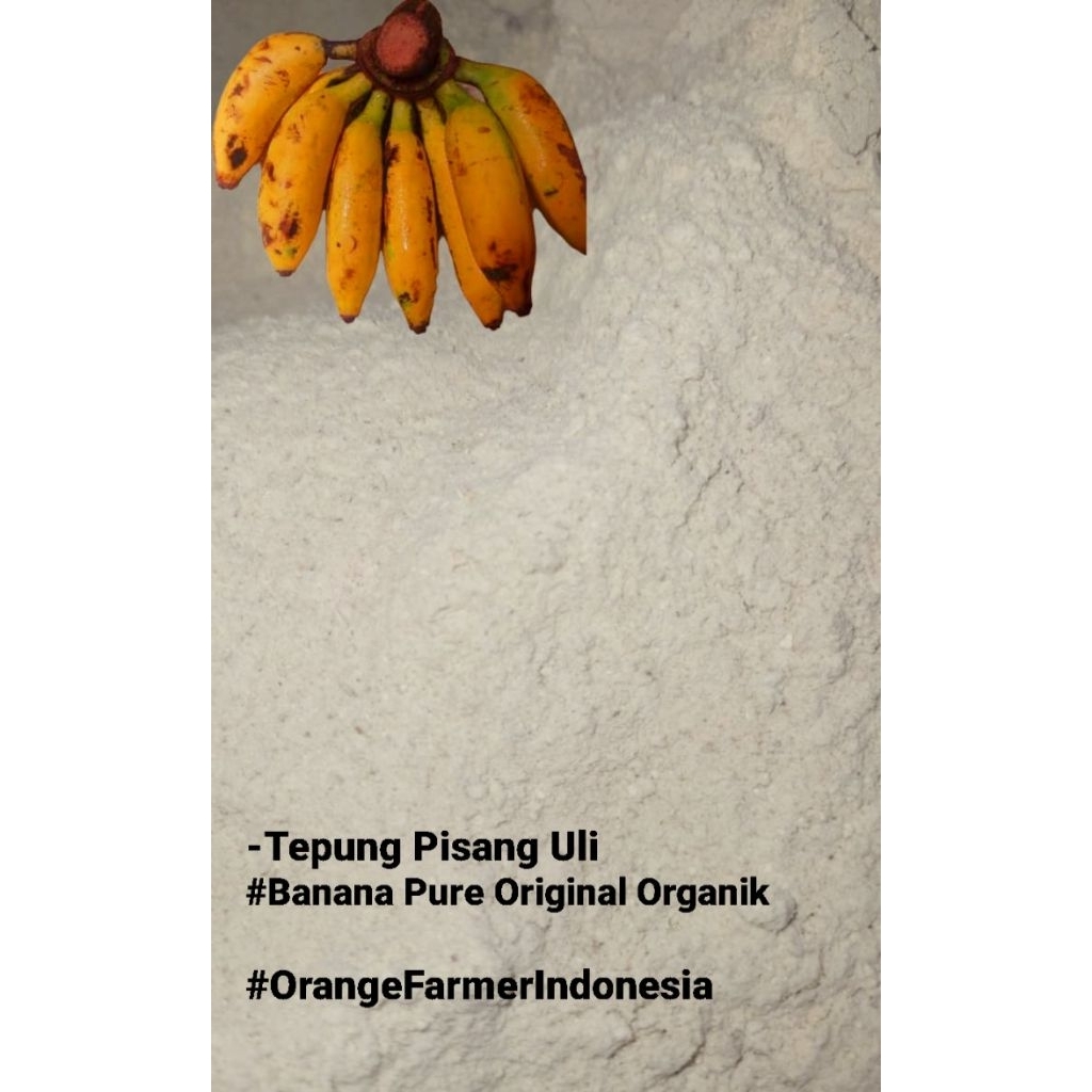 

Tepung Pisang ULI / BangkaWulu, Pure 1kg Original Organik