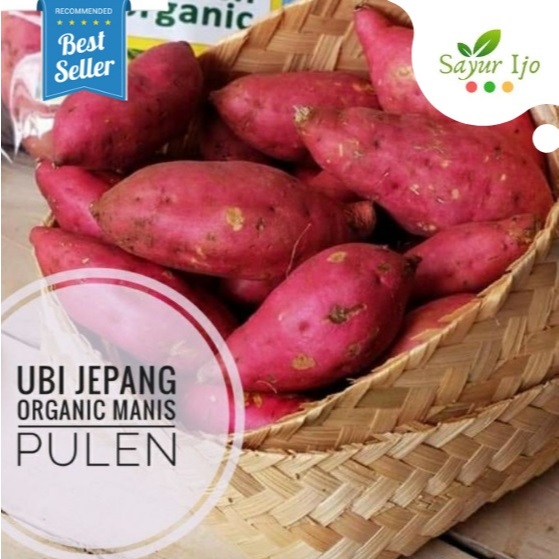 

Ubi Jepang Organic Manis Pulen -/+ 1000 Gram / Pack Fresh Satsumaimo Umbi Jalar Organik Ubi Rambat Sayur Buah Segar