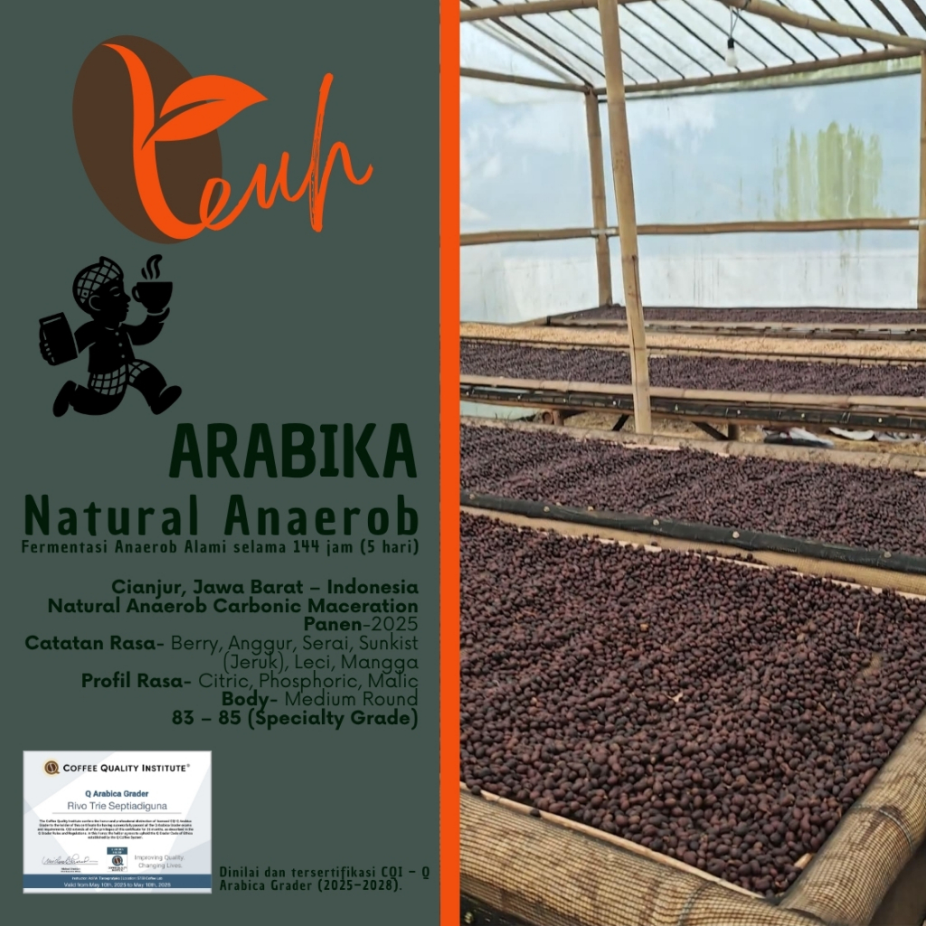

Kopi Arabika Natural Anaerob Process (Roasted Beans) Carbonic Maceration Rasa Berry, Jeruk, Leci