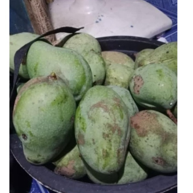 

mangga muda kecut renyah -chat dulu sebelum co agar dapat mangga muda yang fress!!!