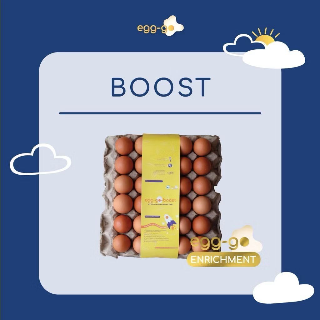 

EGG-GO BOOST | Telur Ayam Negeri Halal Premium Ramah Alergi | Telur Omega Fresh Berkualitas | Kuning Telur Oren