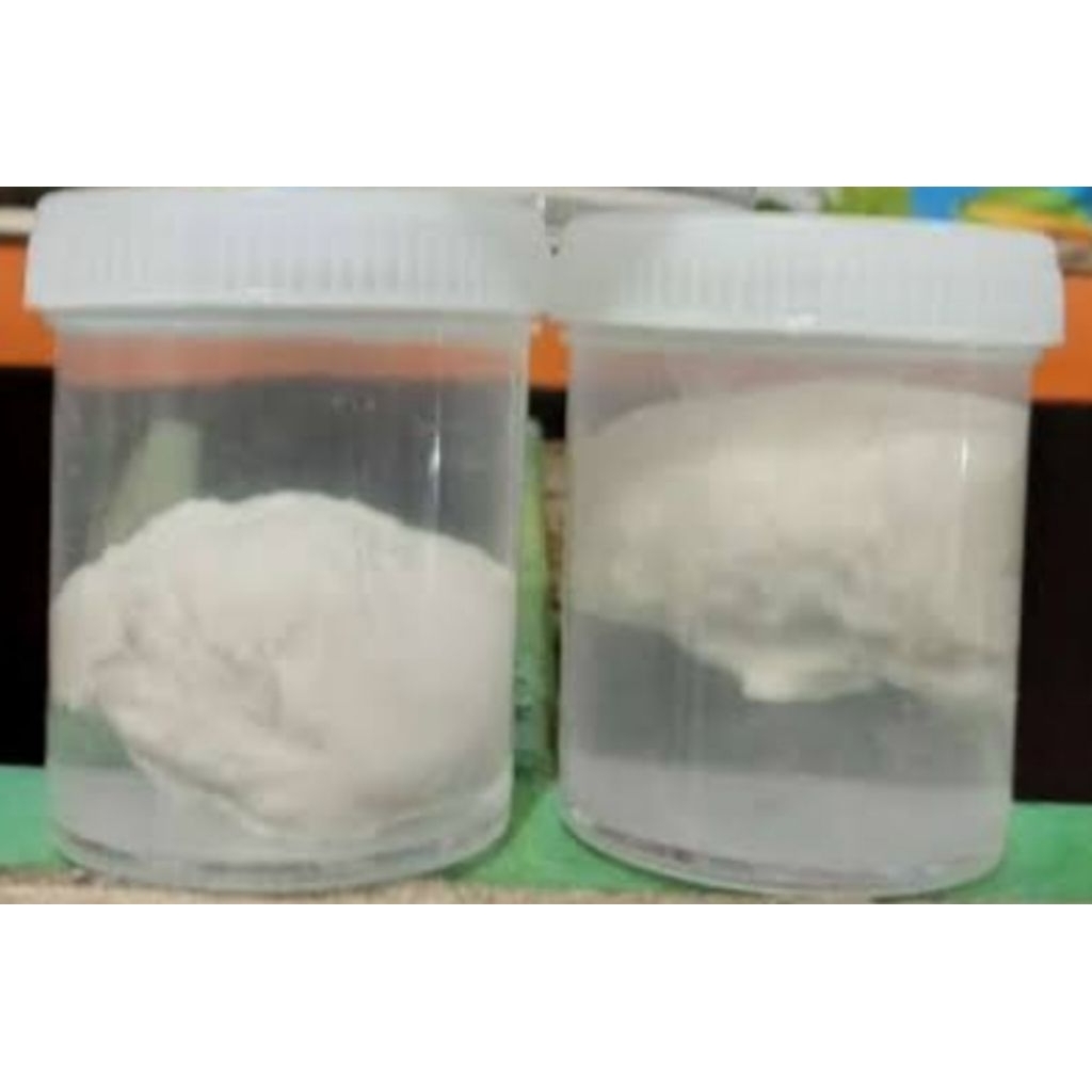 PULUT JERAT PULOT LEM UNTUK PIKAT BURUNG