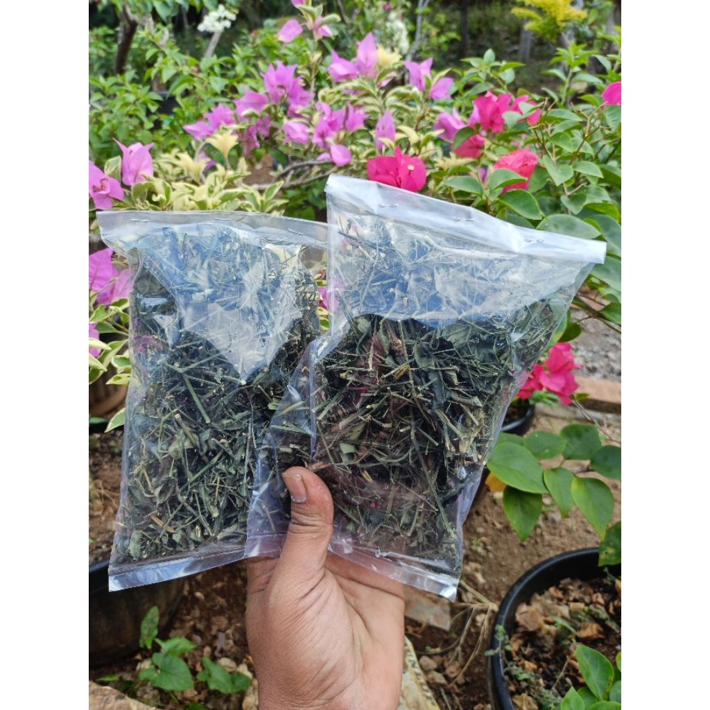 

Daun sambiloto/Sambiroto kering original per pack