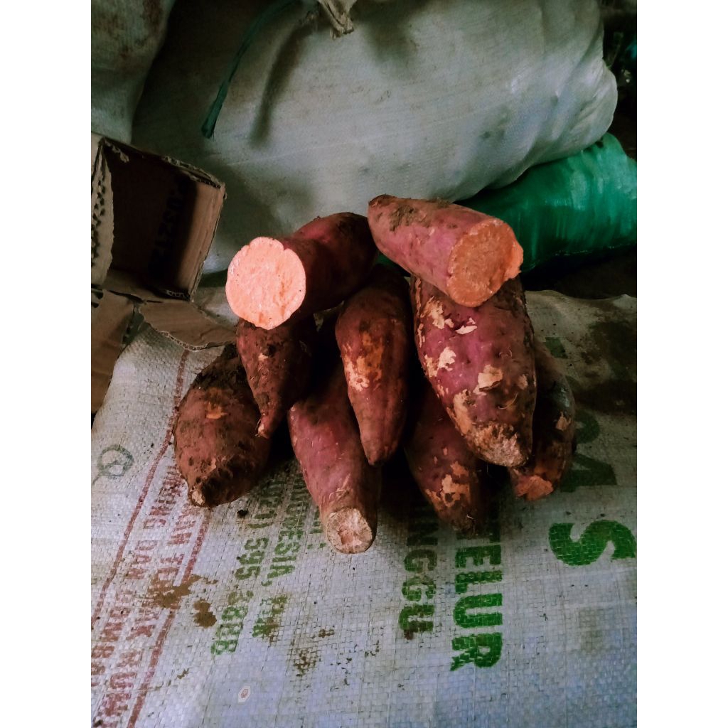 

ubi merah ceret fresh 1kg