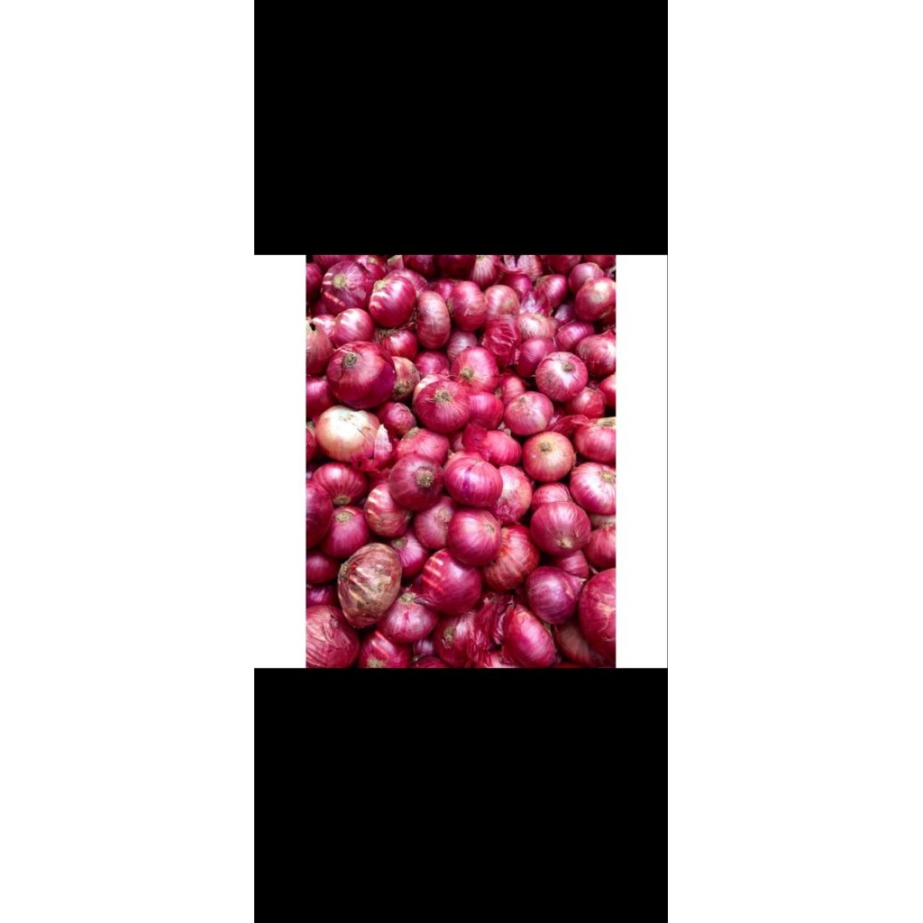 

Bawangmerah super 1kg Rp 40.000