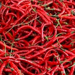 

1kg cabe merah kriting segar harga murah