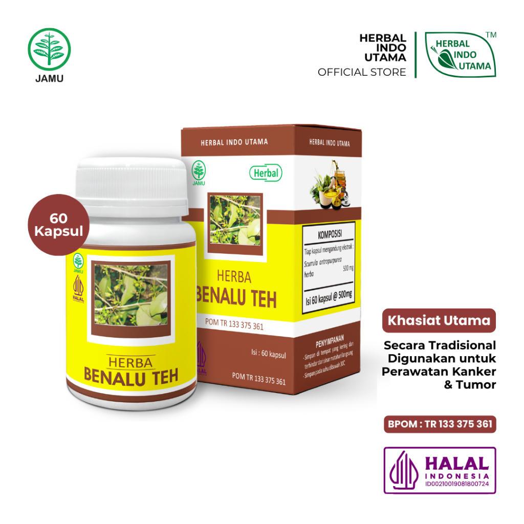 

Hiu Kapsul Benalu Teh (60 Kapsul) Benalu Teh Obat Kangker dan Tumor Herba