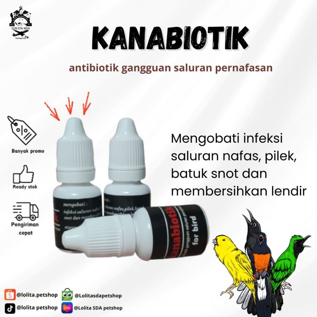 Kanabiotik antibiotik saluran pernapasan burung