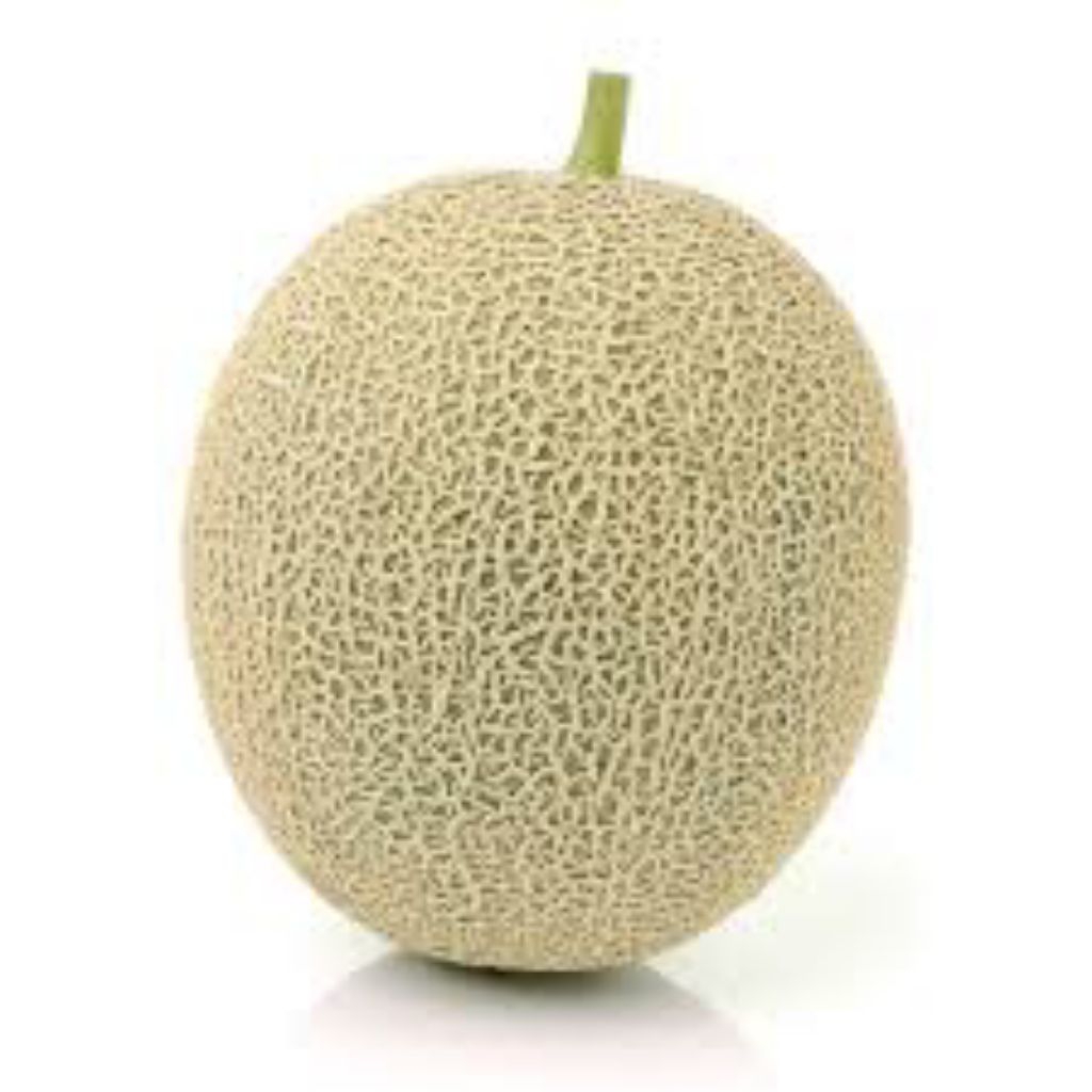 

melon madu segar berkualitas