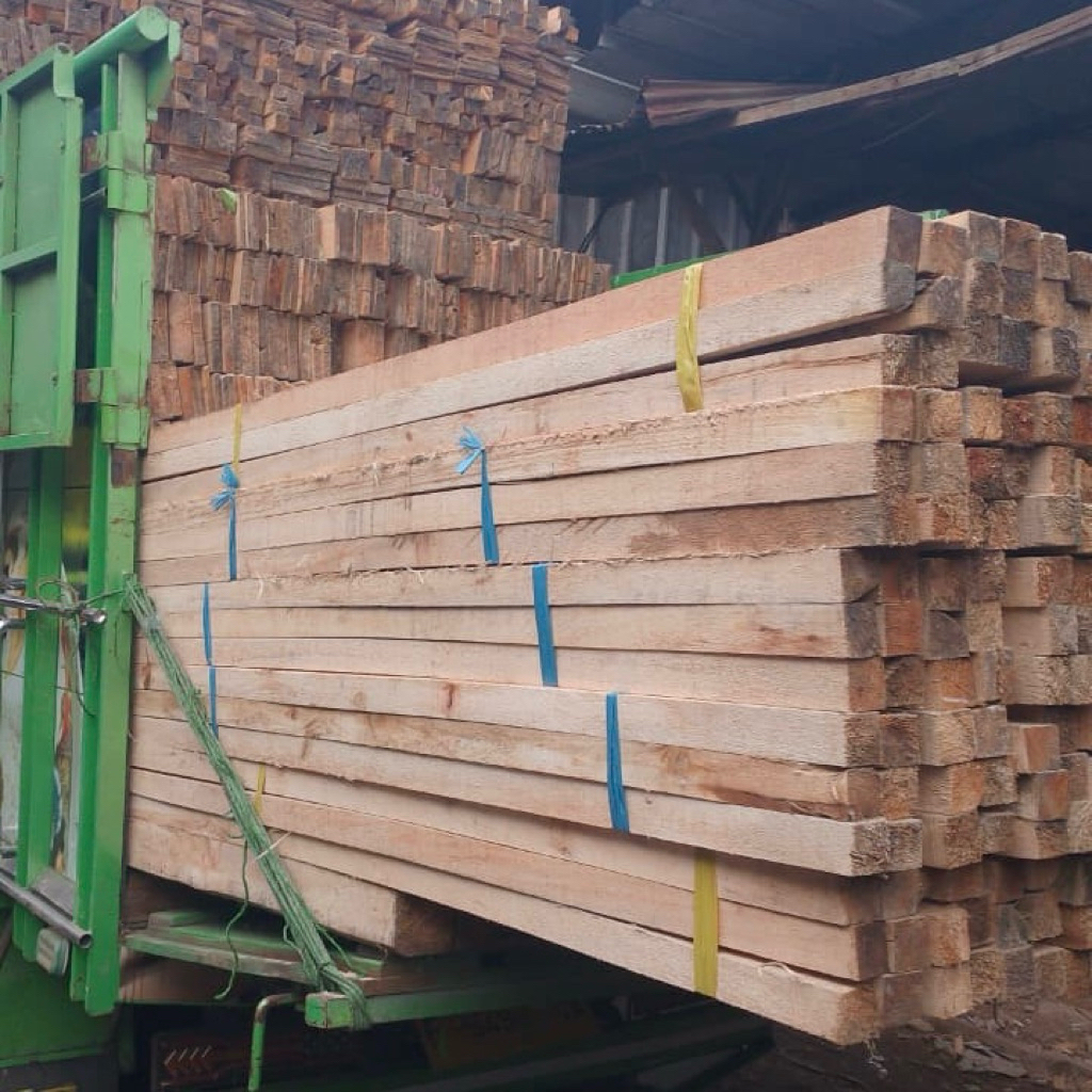 Kaso Alba 3 meter Per Batang Kayu Kaso Albasia Kaso Alba Kaso Semi