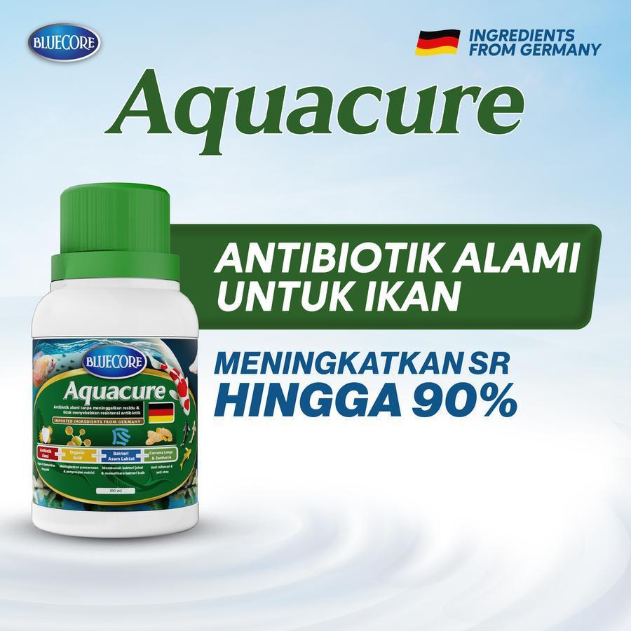 BlueCore AquaCure 100 ml Antibiotik Alami Ikan untuk menyembuhkan bakteri dan Virus, Sebagai obat ik