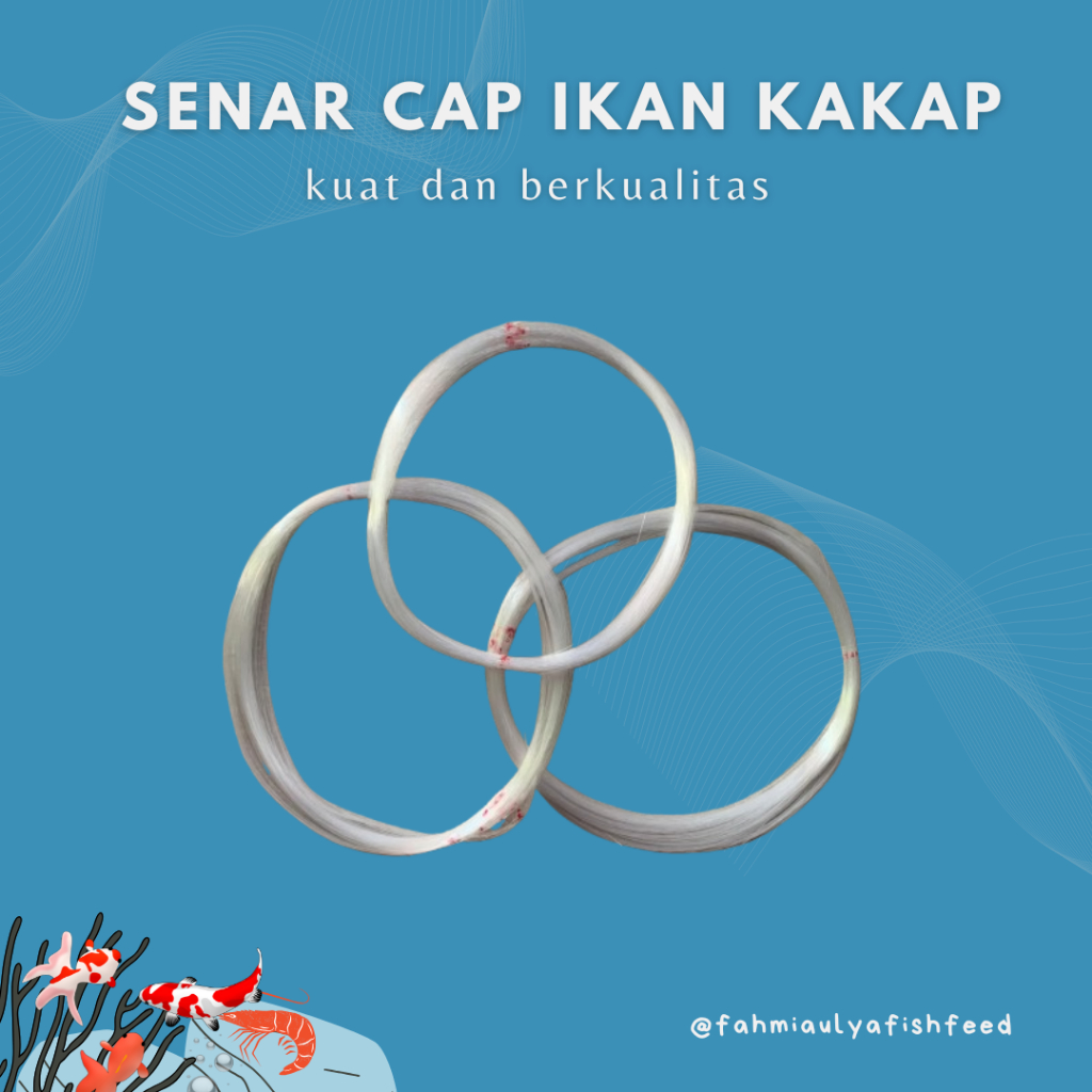 SENAR LAYANGAN CAP IKAN KAKAP UKURAN 100- 2000