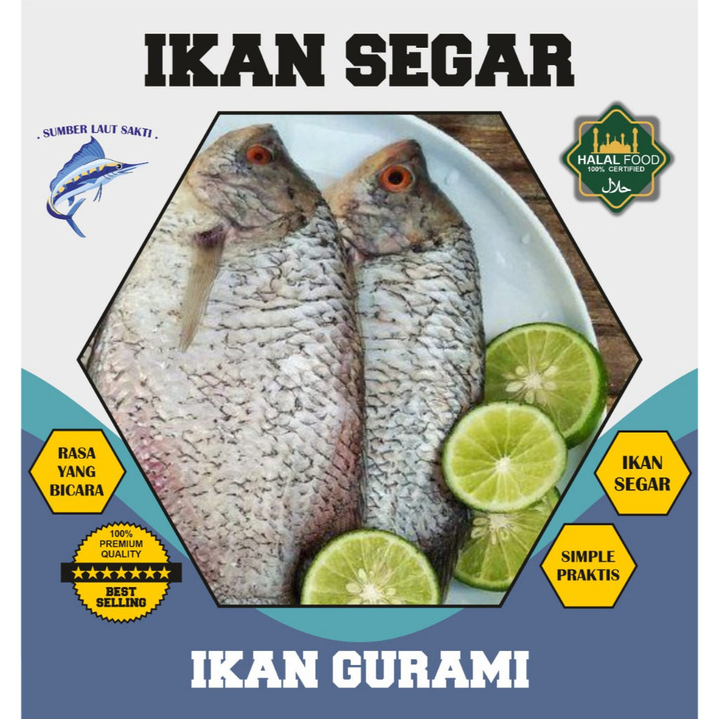 

Ikan Gurami Segar Bersih Fresh 1 Kg
