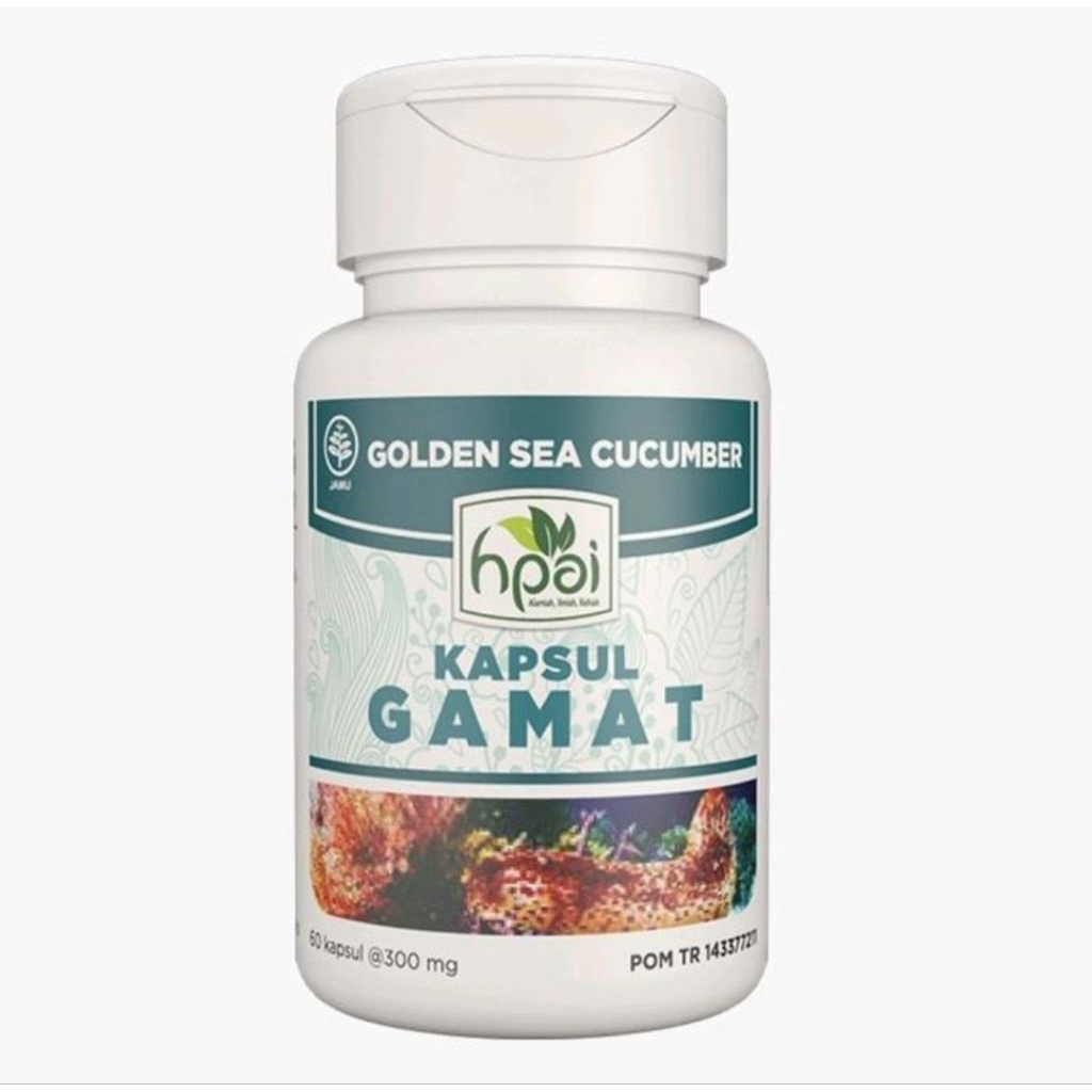 Gamat Kapsul HNI Hpai | herbal untuk tulang