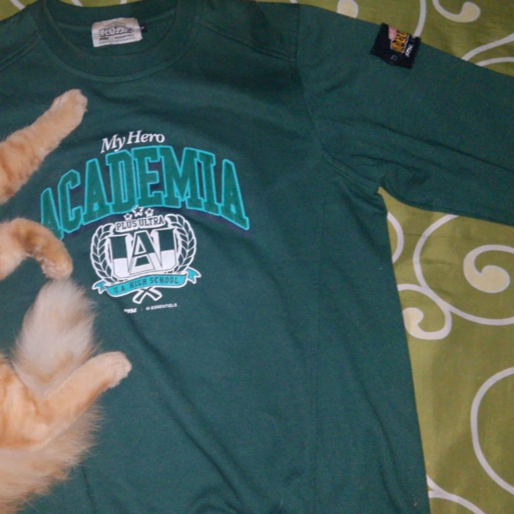 Crewneck My Hero Academia Weesentiels X Faith Industries