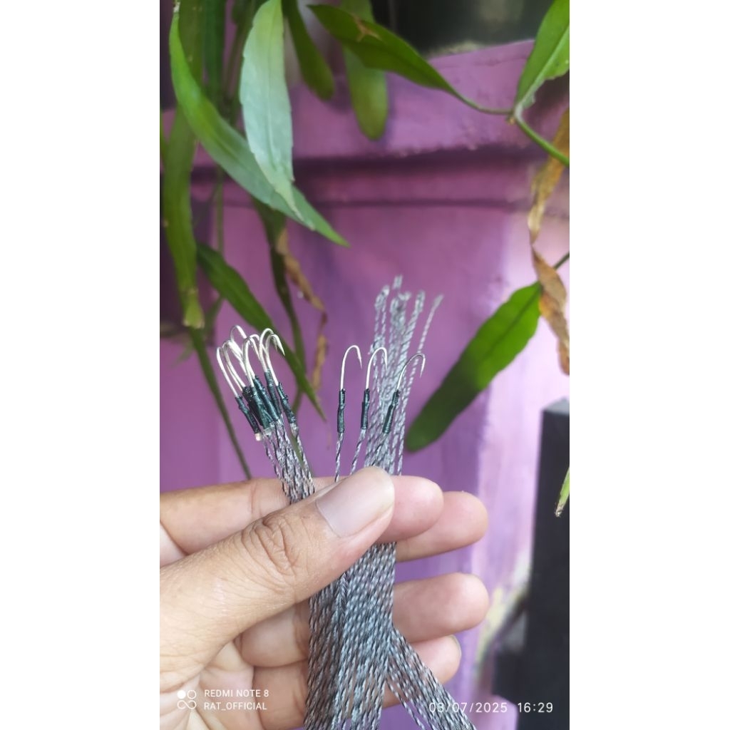 PANCINGAN BELUT SAWAH SENAR 3 lapis