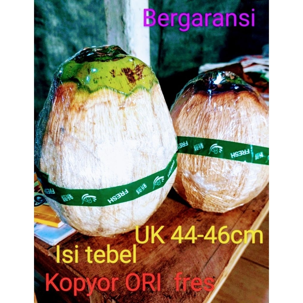 

kopyor fres ORI UK 44-46cm bergaransi