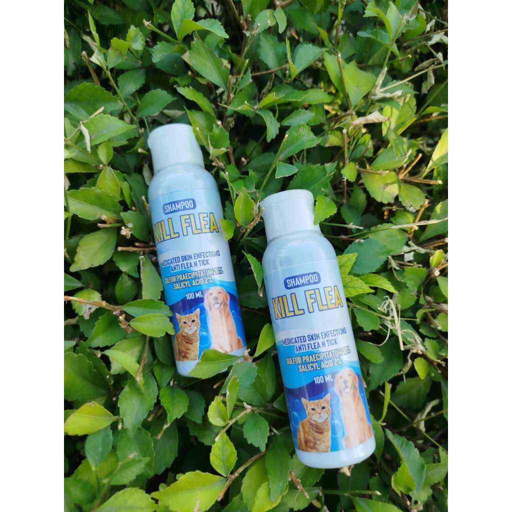 Shampoo Anti Kutu Kill Flea Kucing dan Anjing / Shampoo Anti Kutu