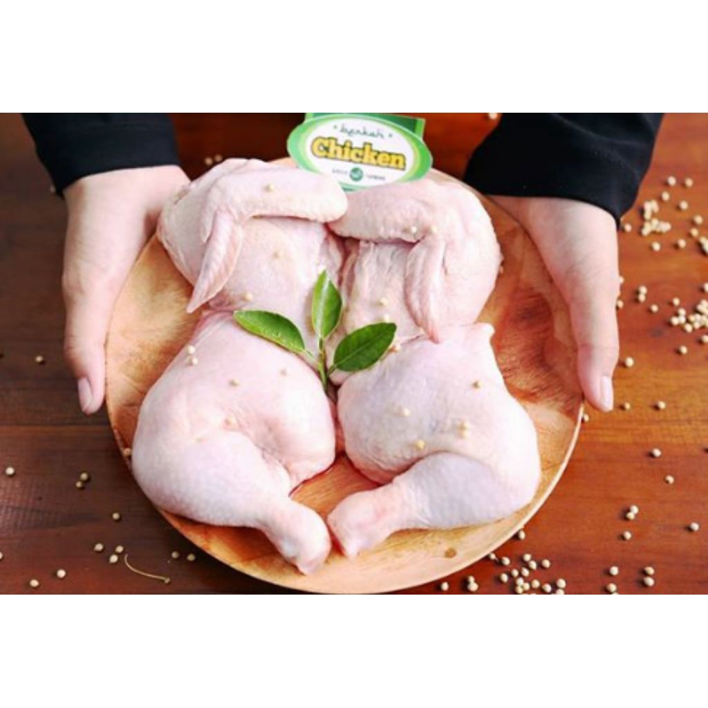 

Ayam Potong 10 (9-10)